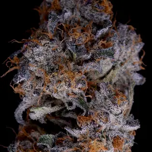 (g) Stash Mountain - Carbon Fiber