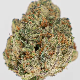 (g) Stash Mountain - 41 Gorillaz