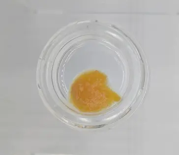 (g) Bold 1/2gr Sugar: Golden Goat