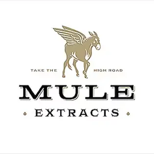 (each) Mule Dragon Fruit 1:1 THC:CBD Kicker Gummy