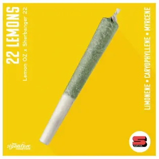 (g) INSA- 22 LEMONS .5G PRE-ROLL