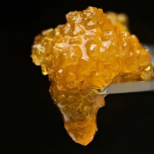 (each) Live Resin- Holy Hyacinth