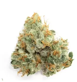 (g) Garlic Mushroom Onion (GMO)