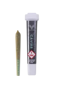 (g) Dadirri (I) RS-11 Solventless Caviar Cone .5g