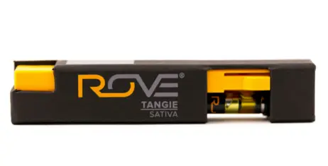 (g) ROVE - TANGIE AIO
