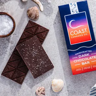 (0.1g) Dark Chocolate Sea Salt Bar | 100mg