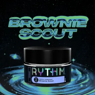 (3.5g) Brownie Scout | Premium Flower | Indica | 3.5g