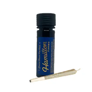 (1.0g) Hamilton Farms | Yodanana | 1g Joint