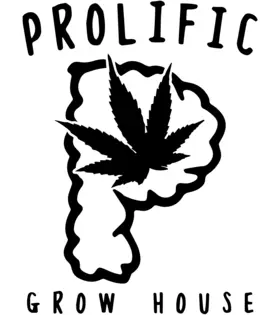 (1.0g) Prolific | GMO Cake | 1g Pre Roll