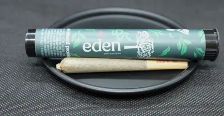 (1.0g) Mint Diesel | Infused Pre-Roll | 1g