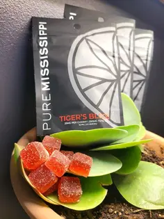 (0.5g) Pure MS | 500mg | Blue Raspberry Reliefs