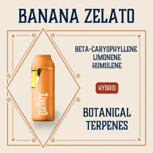 (1.0g) Banana Zelato Botanical Min-E-Bar | 1g