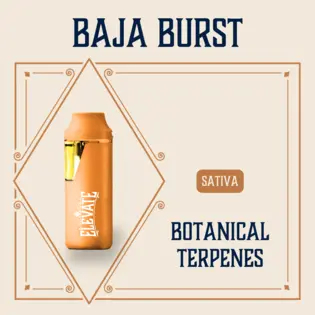 (1.0g) Baja Burst Botanical Min-E-Bar | 1g