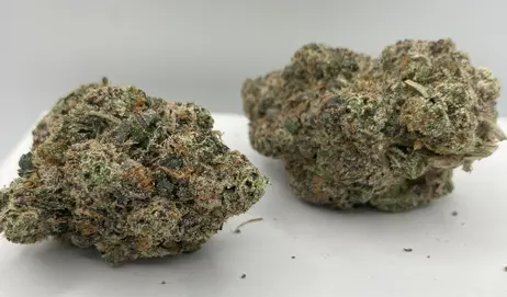 (1.0g) Craft - Bolo Runts Bulk Pre Ground Shake