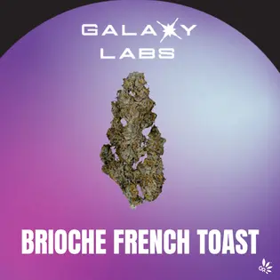 (1.0g) Galaxy Labs - Flower - Bananaconda