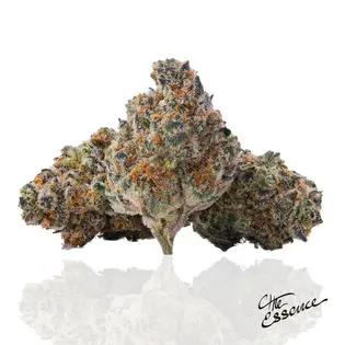 (7.0g) (the) Essence | Flower | Ghost Milk