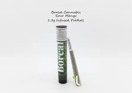(1.3g) Sour Mango | 1.3g Infused Preroll