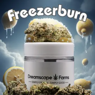 (3.5g) Freezerburn 3.5