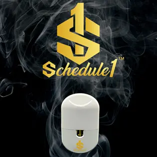 (2.0g) Schedule 1 | 2g AIO | Mai Tai Punch Cookies