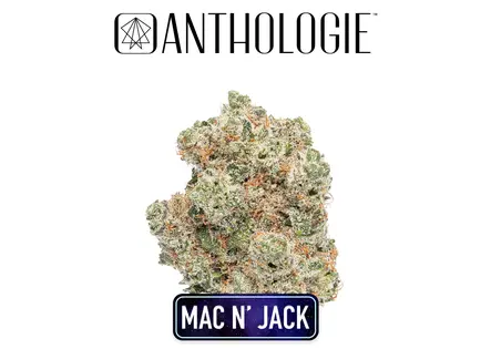(3.5g) Anthologie Mac N Jack Flower 3.5g