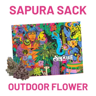 (28.0g) Purple Fun Dip PP