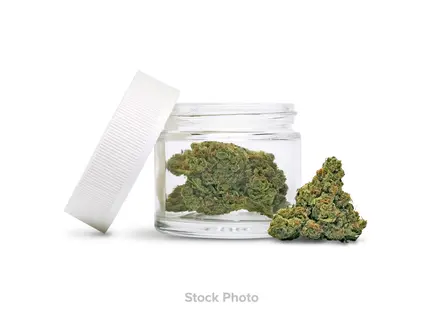 (3.5g) COTC | Banana Bread | Hybrid | Indoor Flower