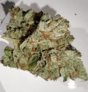 (7.0g) Dakota Natural Growers - MPK X SFV X Headbanger - 7g - Flower