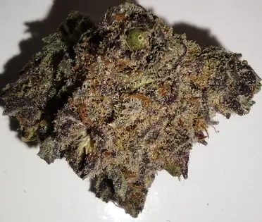 (7.0g) 1889 Farms - Blue Dream - 7g - Flower