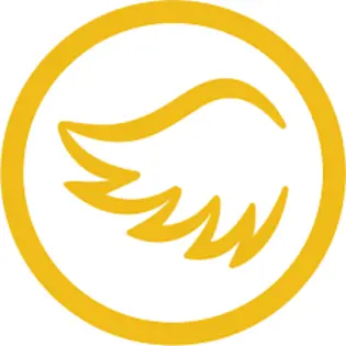 (1g) Angel - Rainbow Children - 1,000mg THC/CBD/CBN/CBG Tincture by Angel Industries