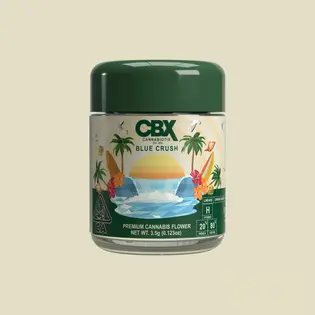 (3.5g) CBX - Jet Lag Og - H - Indoor