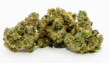 (3.5g) Apollo | Pre-Packed 3.5g | Six Labs