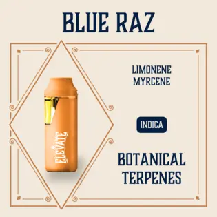 (1.0g) Blue Raz Botanical Min-E-Bar | 1g