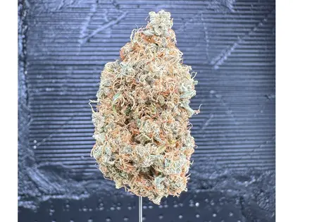 (1.0g) Dream Girl #1