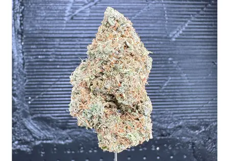 (1.0g) Dream Girl #4