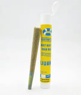 (1.0g) Buoyant Bob - Purple Mojito 1g Pre-Roll