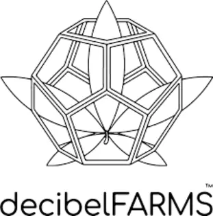 (each) Decibel Banana Poison #7 1g Infused