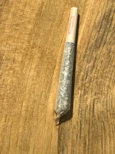 (each) Jack Herer - .5 Gram - Pre-Roll