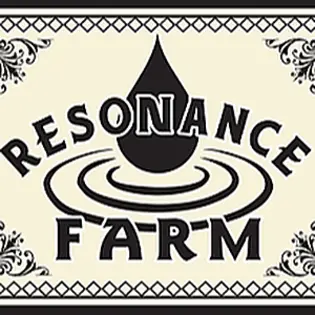 (each) Blank check 1g Preroll Meraki 62596