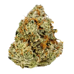 (g) Mid Tier - Josh D