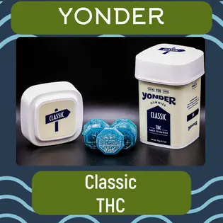 (each) Yonder Minis | Classic Wild Berry 100mg