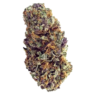 (g) Fast Forbidden Fruit - .5g Preroll