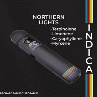 (each) Northern Lights | Disposable | Flex | 1g