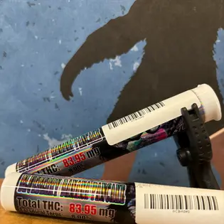 (g) Blueberry Banana Pancake 0.5g