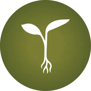 (each) Raw Garden - Orange Juice Jones #6 (h) - Sauce Cartridge - 1g