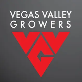 (each) VVG | Galaxy Glue Pre-Roll 1g