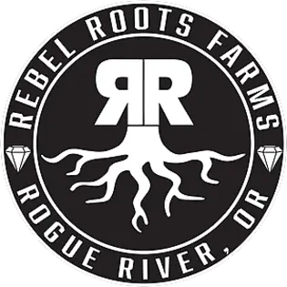 (fl_oz) Rebel Roots CBG Mickey Kush RSO 1g