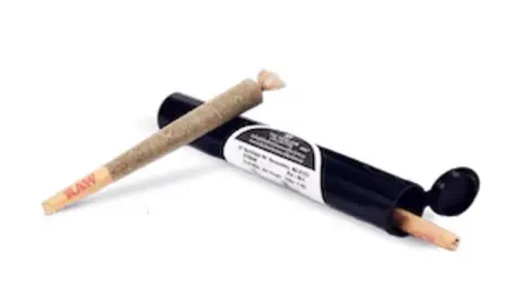 (each) Pre-Roll - Archetype - 1g