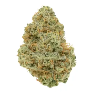 (g) Releaf Farms | Vegas Girl