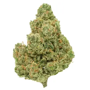 (g) Barrio Cannabis | Jack Herer