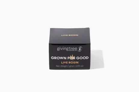 (g) GT - LIVE ROSIN - SWAMP WATER FUMEZ (H) - 1G